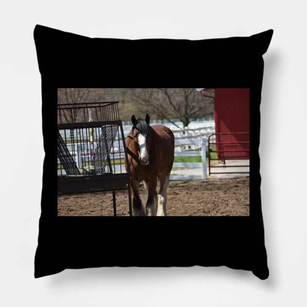 Clydesdale Pillow by MarieDarcy