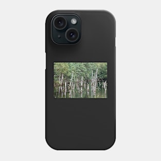 Pietzmoor, Schneverdingen, Lueneburg Heath, Lower Saxony, Germany Phone Case