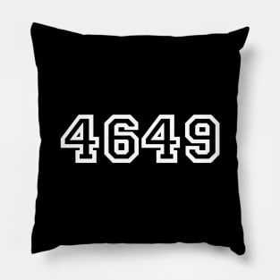 4649 Japanese Slang Yoroshiku Pillow