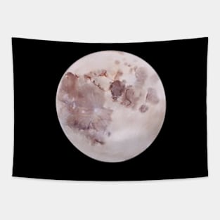 Full Moon Tapestry