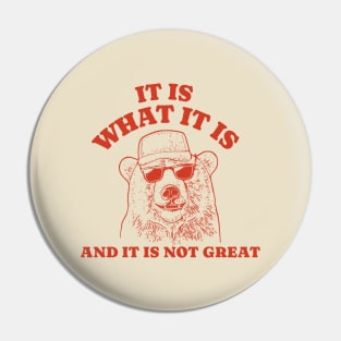 It Is What It Is And It Is Not Great - Funny Bear Raccoon Pin