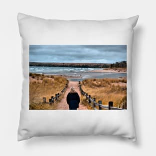 A Walk to the Water Pillow