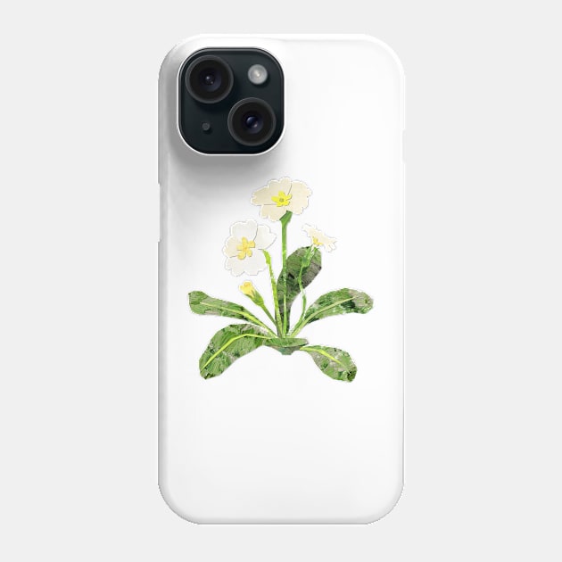 Common Primrose Phone Case by Babban Gaelg