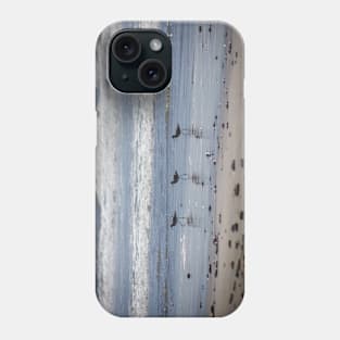 California Beach Birds Chilling on the Sunny Beach Photo V1 Phone Case