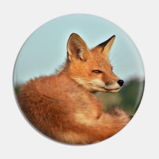 Alert Red Fox Kit Pin