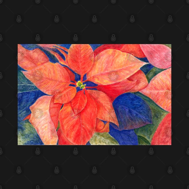 Orange Red Poinsettia by ConniSchaf