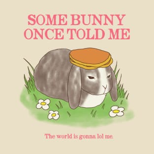 Somebunny Once Told Me T-Shirt