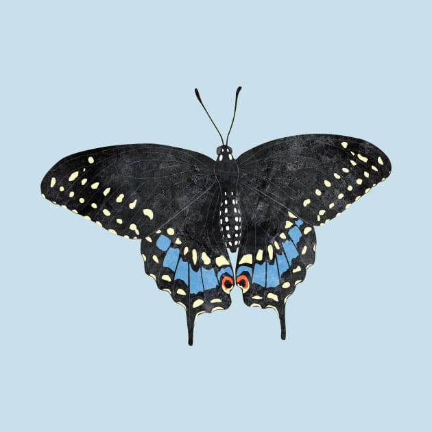 Eastern Black Swallowtail Lady by emilywayland