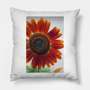 Sunflower Series XV Pillow