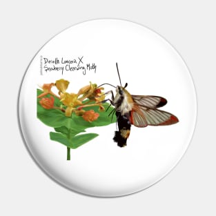 Snowberry Clearwing X Diervilla Lonicera Pin