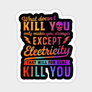 RAINBOW EXCEPT ELECTRICITY KILL YOU Magnet