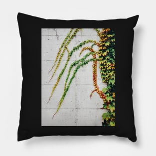 Green Ivy Growning on Grey Urban Concrete Wall Pillow