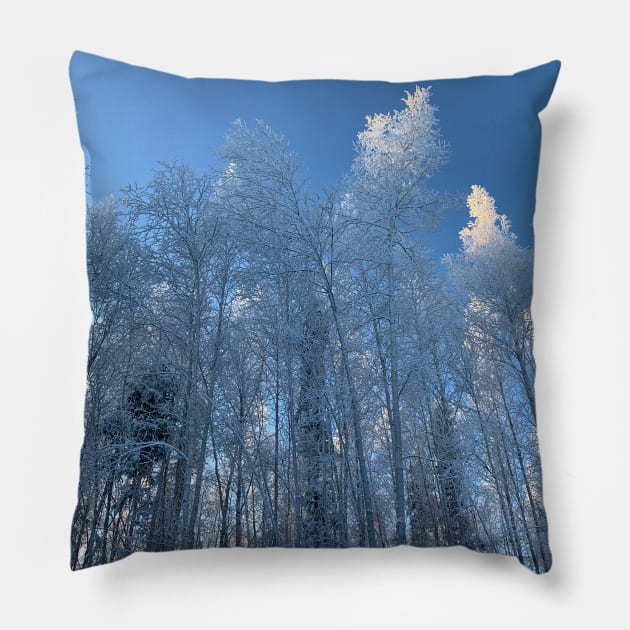 Winter in soldotna alaska Pillow by Kbpaintingprints