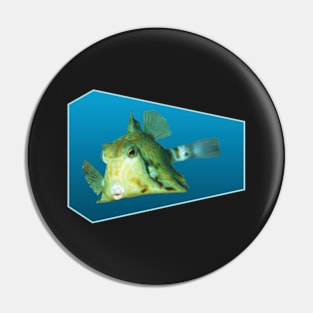 Boxfish | Floating Fish on a blue background | Pin