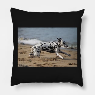 Dalmation Dash Pillow