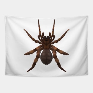 spider Tapestry