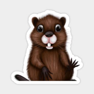 Cute Beaver Drawing Magnet