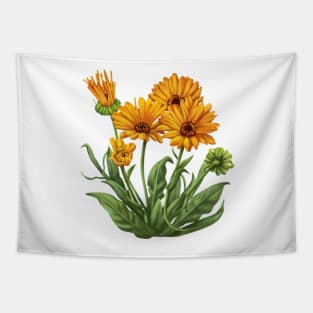 calendula Tapestry