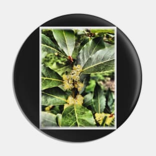 Bay Leaf Tree Blossom Pin