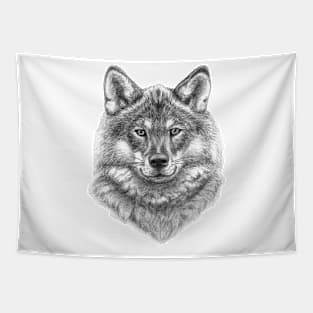 Wolf face G21-003 Tapestry