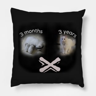 Year after year Pillow