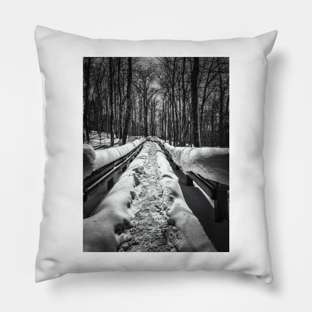 Short Hikes Well Traveled Pillow by Isla Creek Casuals