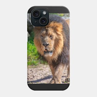 Male Lion Phone Case