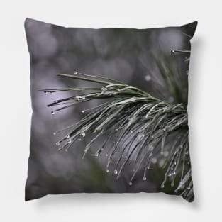 Pine Branch Border Pillow