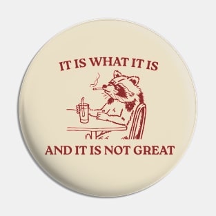 It Is What It Is And It Is Not Great Pin