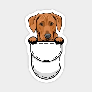 Rhodesian Ridgeback Pocket Dog Magnet