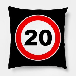 20th Birthday Gift Road Sign anniversary Pillow