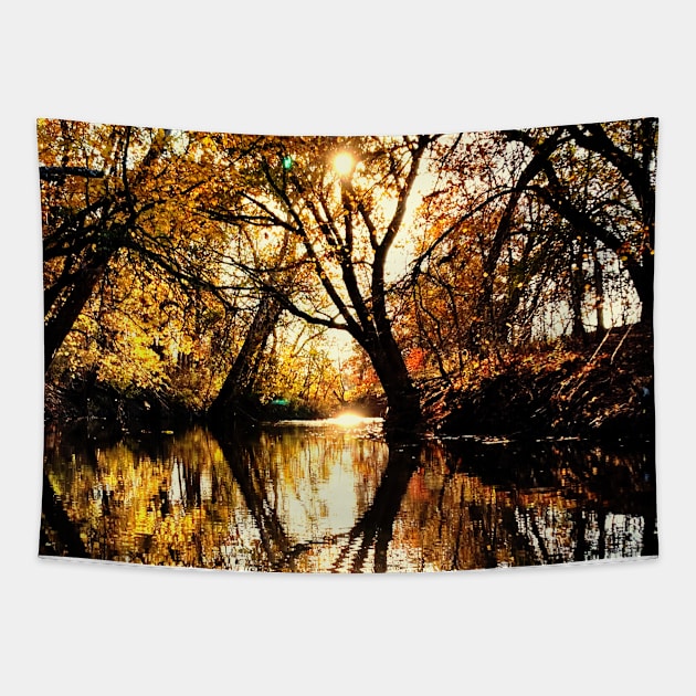 Stunning Evening Fall Water Reflections Tapestry by Zen Goat 