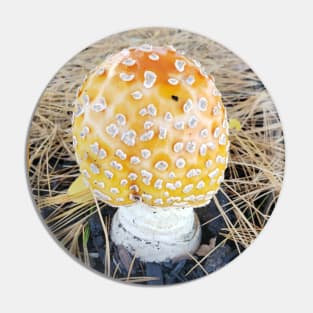 Grocery Store Amanita Pin