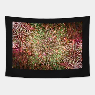 Colorful bright fireworks against dark sky Tapestry