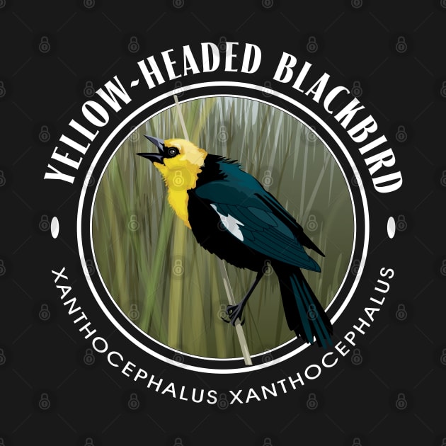 Yellow-Headed Black Bird Round by Birds by D.H. Kafton Studio