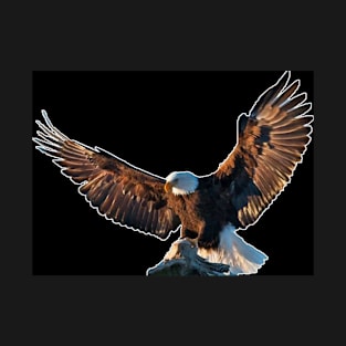 Eagle T-Shirt