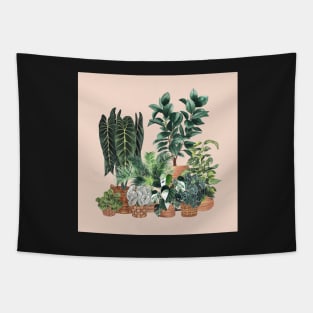 House Plants Illustration 1 On Pink Tapestry