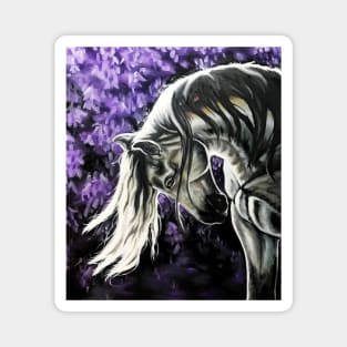 Stallion Among Wisteria Flowers Magnet