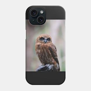 Southern Boobook Owl Phone Case