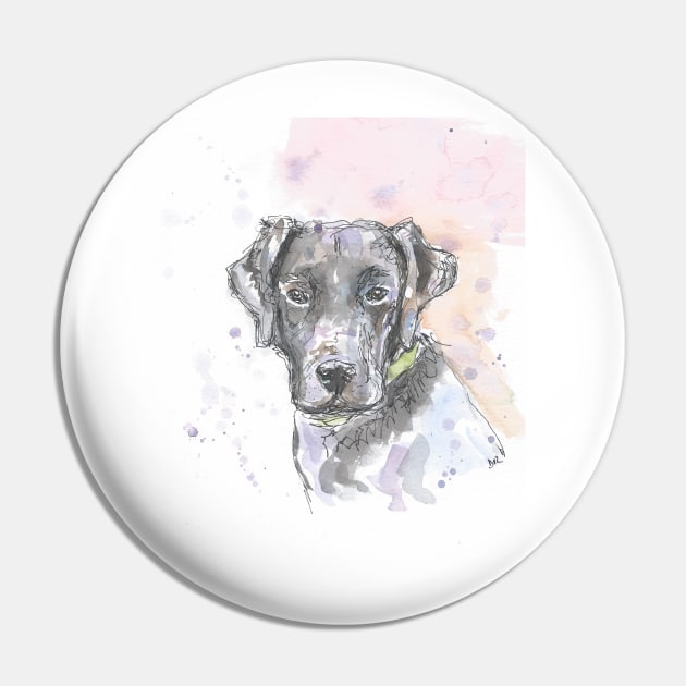 Black Labrador portrait. Pin by DebTheZeb