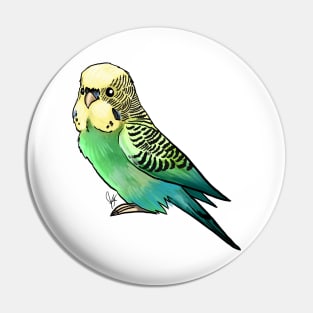 Bird - Budgerigar Parakeet - Green Pin