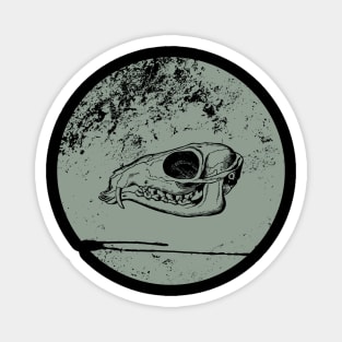 animal skull Magnet