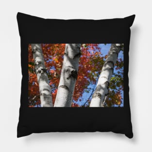 three white trunks Pillow