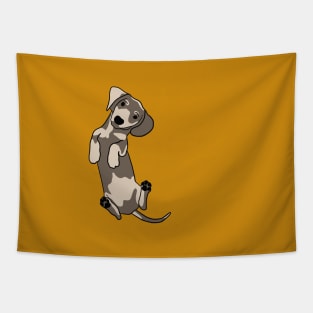 Happy dachshund illustration Tapestry