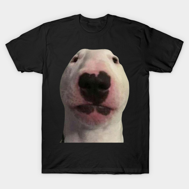Staring Forward Dog Meme Meme T Shirt Teepublic Fr