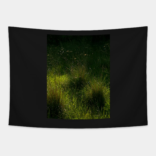 Grass Tapestry by bunlinked