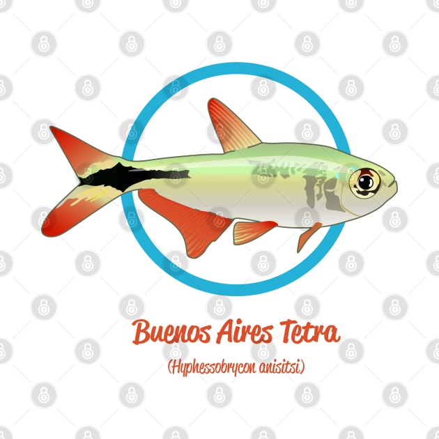 Buenos Aires Tetra by Reefhorse