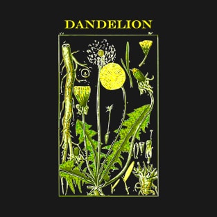 Botanical Dandelion T-Shirt