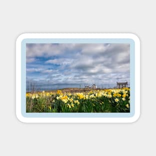 Springtime at Seaton Sluice Magnet