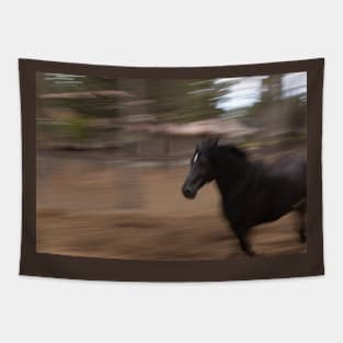 Run Horse Run Tapestry